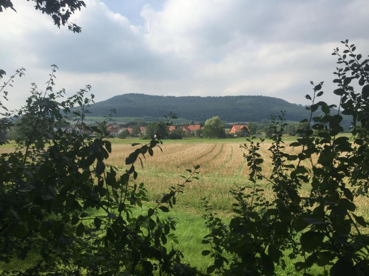 Modern Holiday Home Near River In Amelgatzen Emmerthal المظهر الخارجي الصورة
